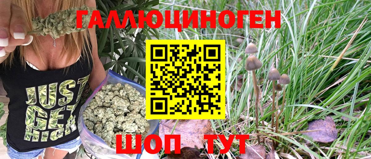 Псилоцибиновые грибы прущие грибы  Вход с VPN  Псилоцибиновые грибы Magic Shrooms  Курганинск 